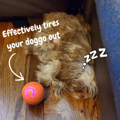 𝐏𝐀𝐔𝐑𝐀𝐉𝐔™ 🐶🔥 𝐄𝐱𝐭𝐫𝐚 𝐋𝐨𝐧𝐠-𝐋𝐚𝐬𝐭𝐢𝐧𝐠 𝐁𝐨𝐮𝐧𝐜𝐞 𝐁𝐚𝐥𝐥 （Made from high-performance, eco-friendly TPE material, durable enough to withstand pet chewing, ensuring endless fun!）